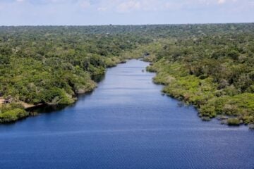Nova etapa do projeto Restaura Amazônia é lançado durante ATL