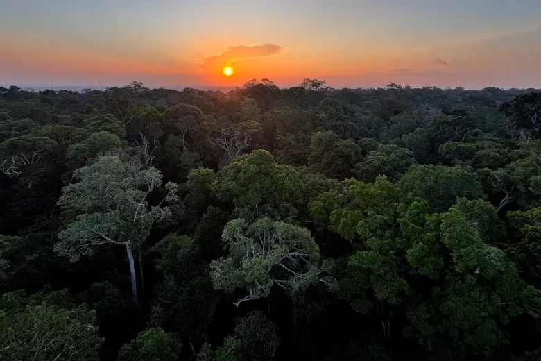 Começou hoje em Brasília a 5ª Conferência Nacional do Meio Ambiente