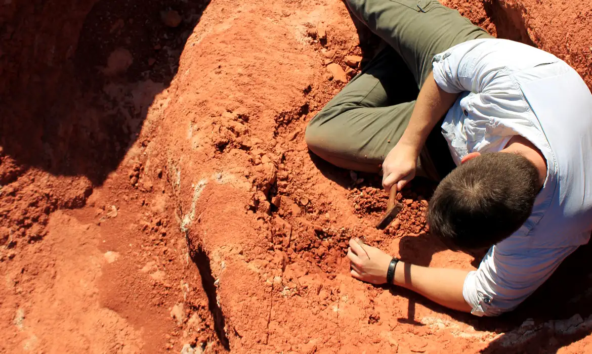 Fóssil descoberto no Brasil lança luz sobre origem dos dinossauros