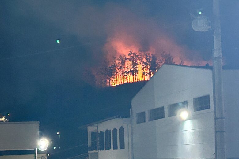 Fogo atinge área da Vale próxima a casas em Itabira