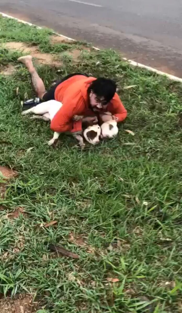 Professor de Muay Thai imobiliza dois pitbulls durante ataque em Ponta Porã (MS)