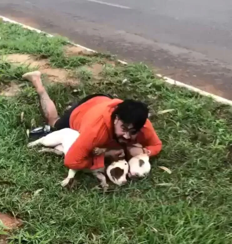 Professor de Muay Thai imobiliza dois pitbulls durante ataque em Ponta Porã (MS)