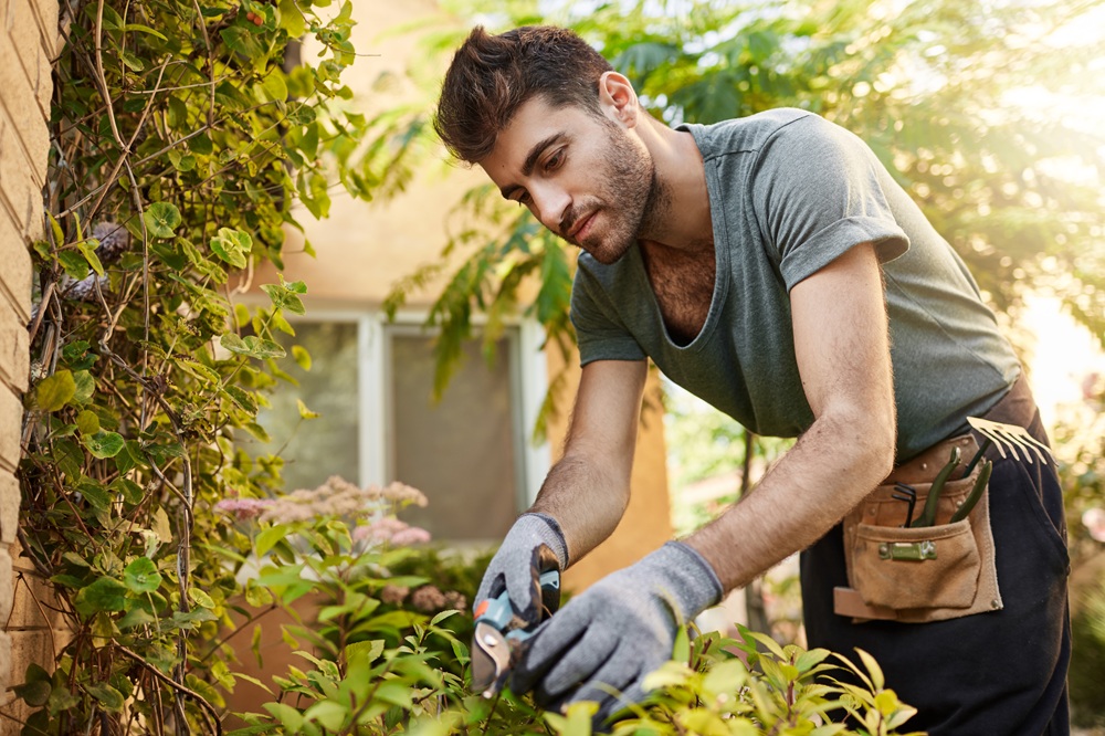 Itabira Mais Verde inicia encontros comunitários para discutir arborização urbana