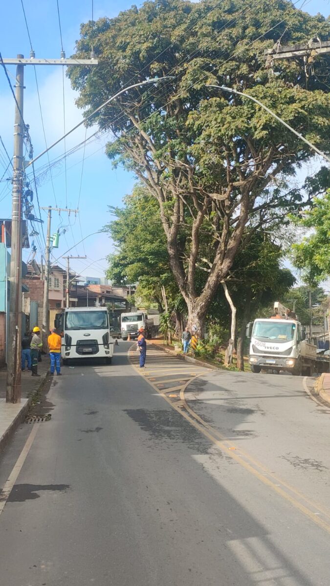 Poda de árvore interdita acesso à avenida das Rosas nesta quarta-feira em Itabira