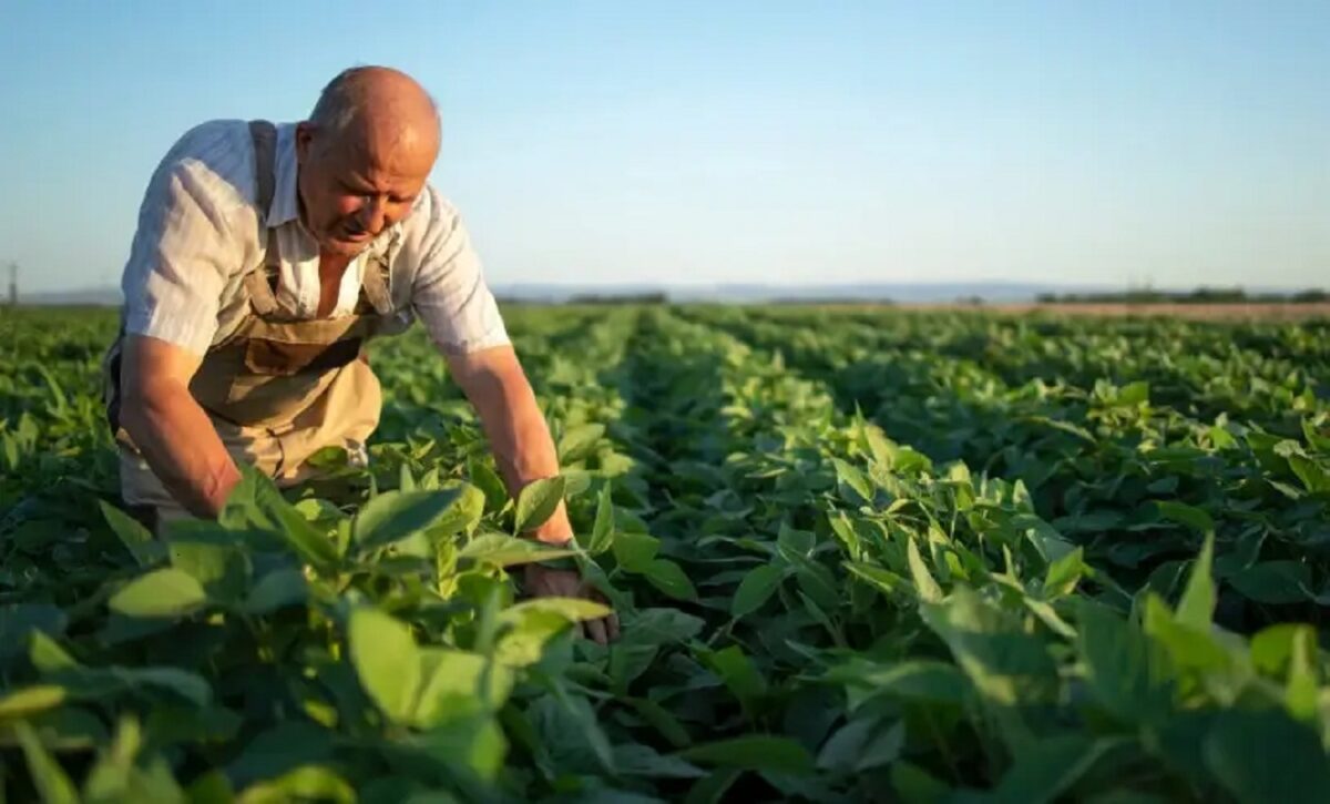 Nova Era se prepara para receber evento “Nosso Agro” no próximo sábado
