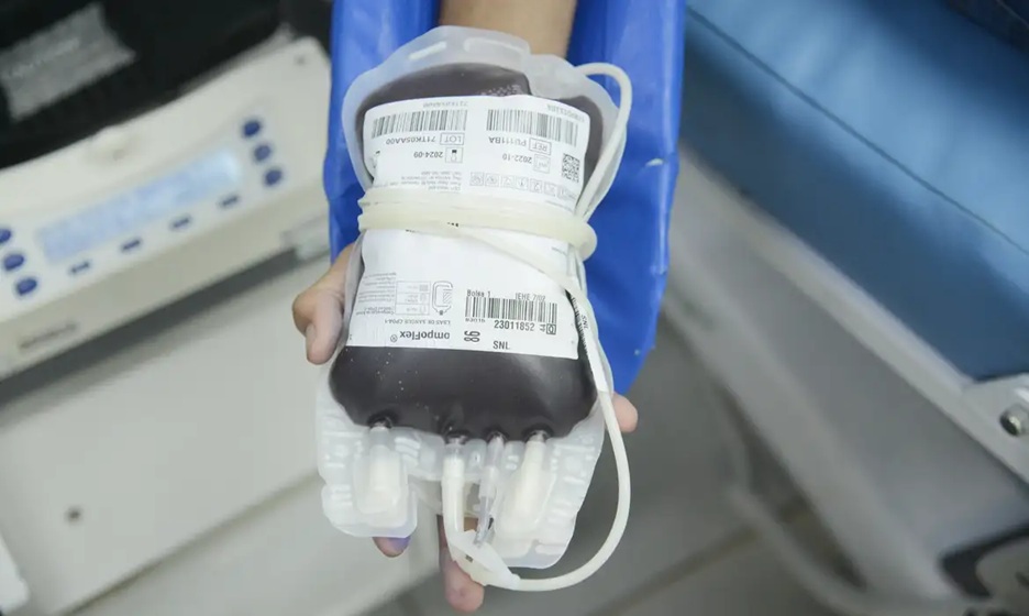 STF confirma direito de recusar transfusão de sangue por religião