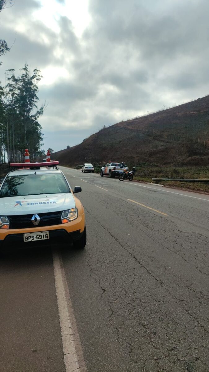 Trânsito na MG-129 opera em sistema "pare e siga" após incêndio comprometer eucaliptos