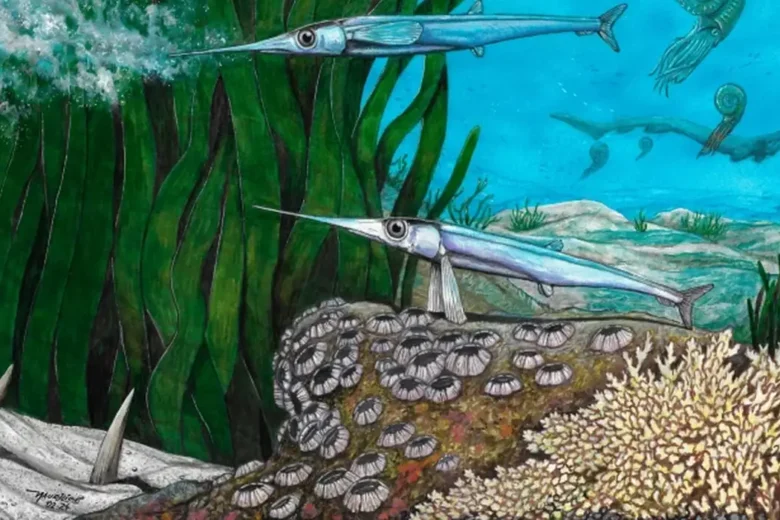 Cientistas brasileiros identificam nova espécie de peixe pré-histórico