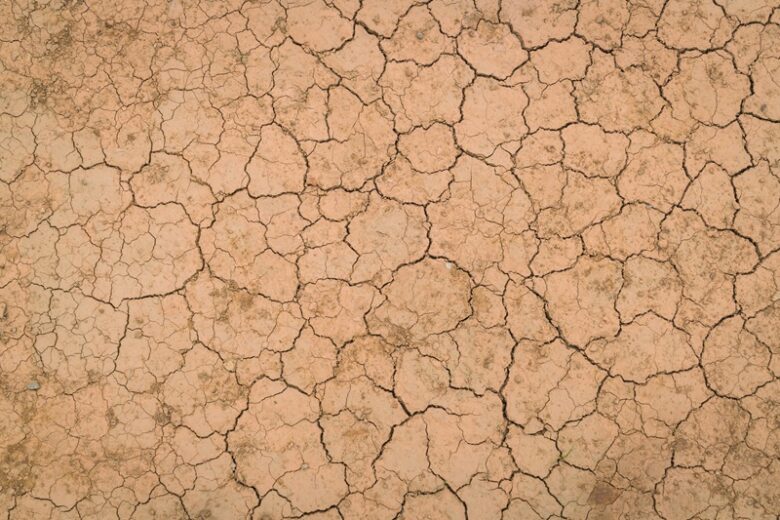 Céu limpo e ar seco marcam a terça-feira