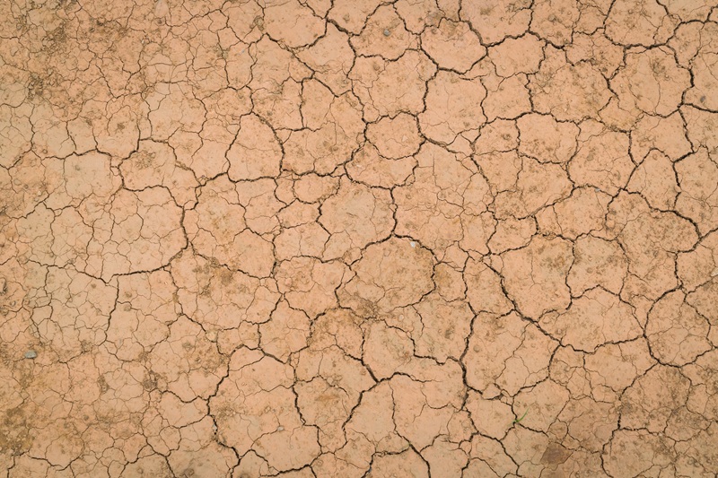 Tem um verão no meu outono: Sábado será de sol forte e calor durante a tarde