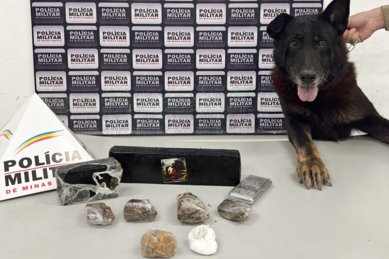 Cão farejador auxilia PM de Itabira a encontrar drogas no bairro Bela Vista