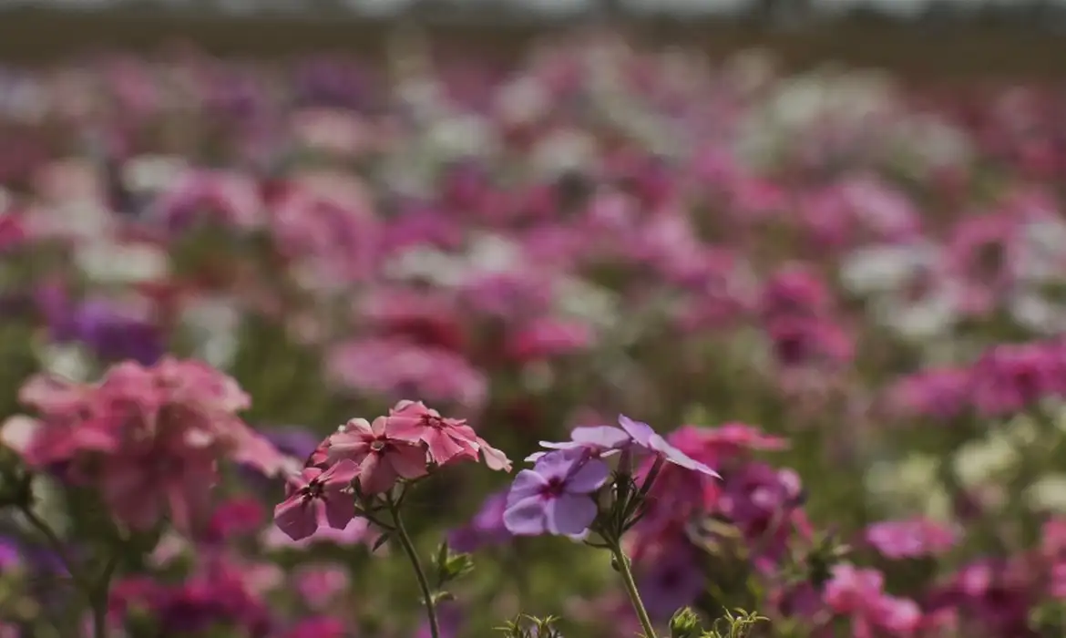 Primavera começa com frente fria, temporais e fortes ventos