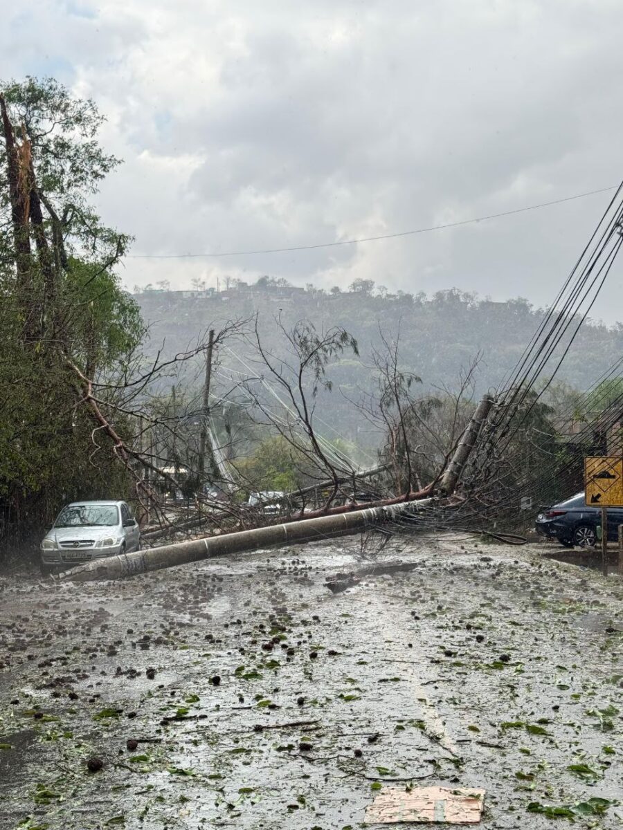 Queda de árvores na MG-030 causa acidente em Nova Lima