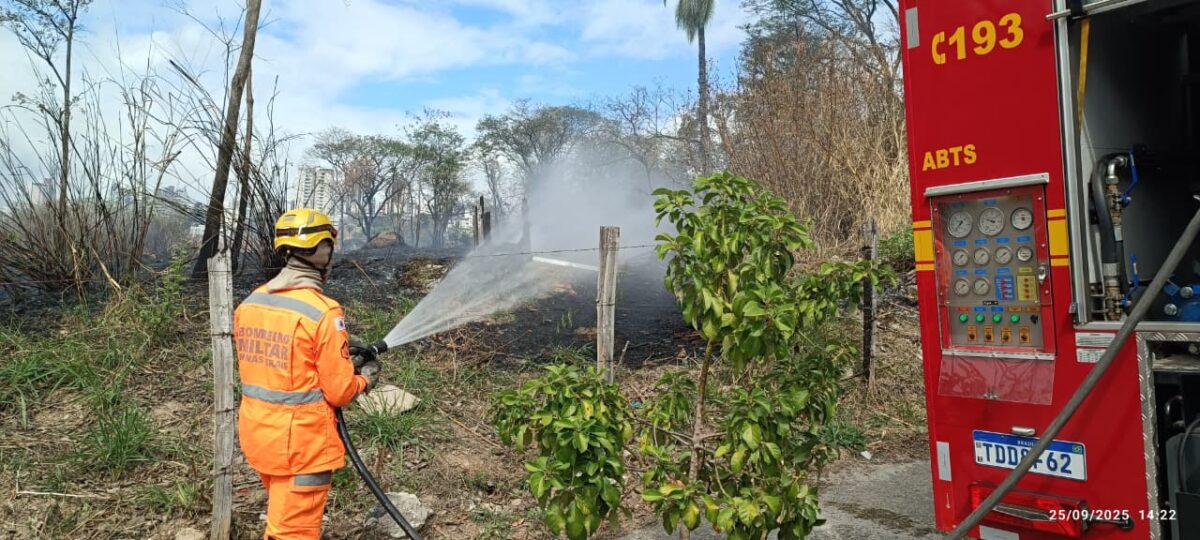 Bombeiros controlam incêndio em área de mata no bairro Ouro Preto, em BH