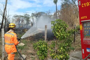 Bombeiros controlam incêndio em área de mata no bairro Ouro Preto, em BH