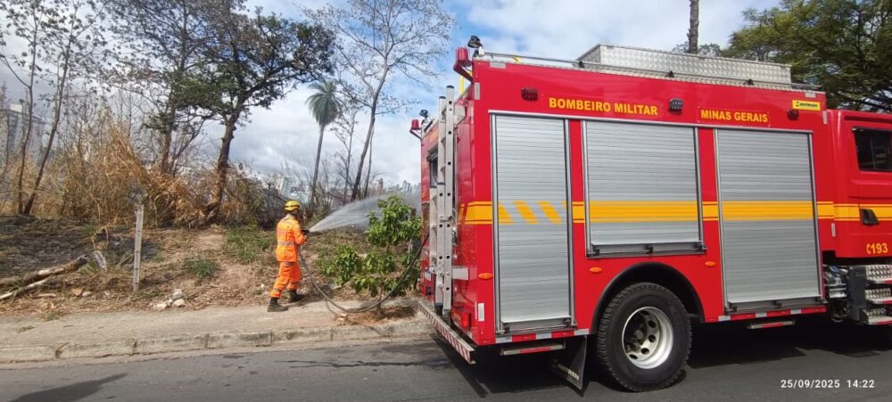 Bombeiros controlam incêndio em área de mata no bairro Ouro Preto, em BH