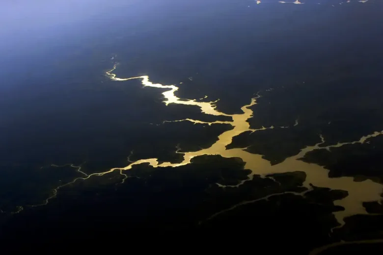 Estudo aponta que captura de carbono na Amazônia está em risco