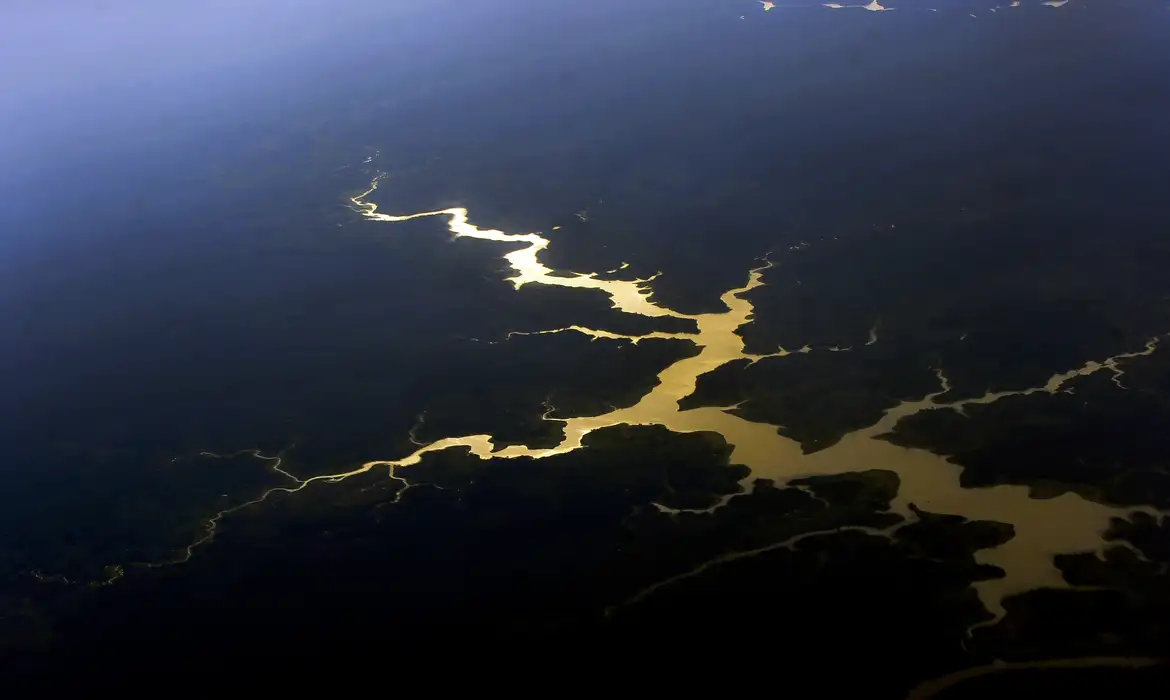 Estudo aponta que captura de carbono na Amazônia está em risco
