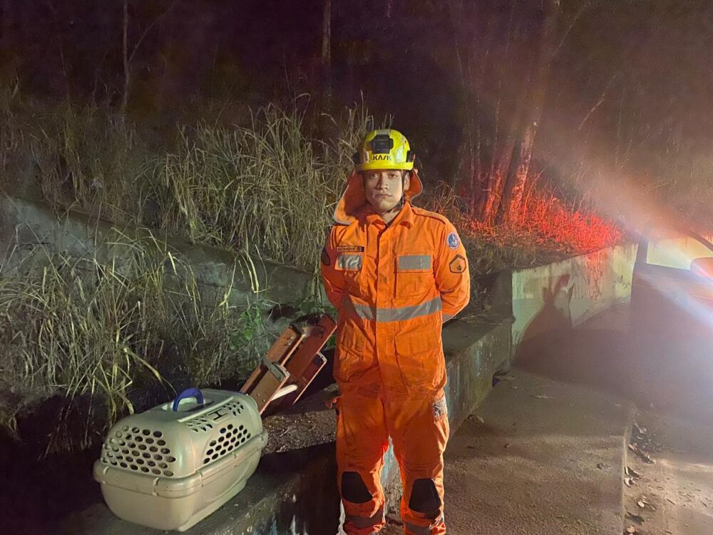 Bombeiros resgatam cachorro ferido de galeria pluvial em Itabira