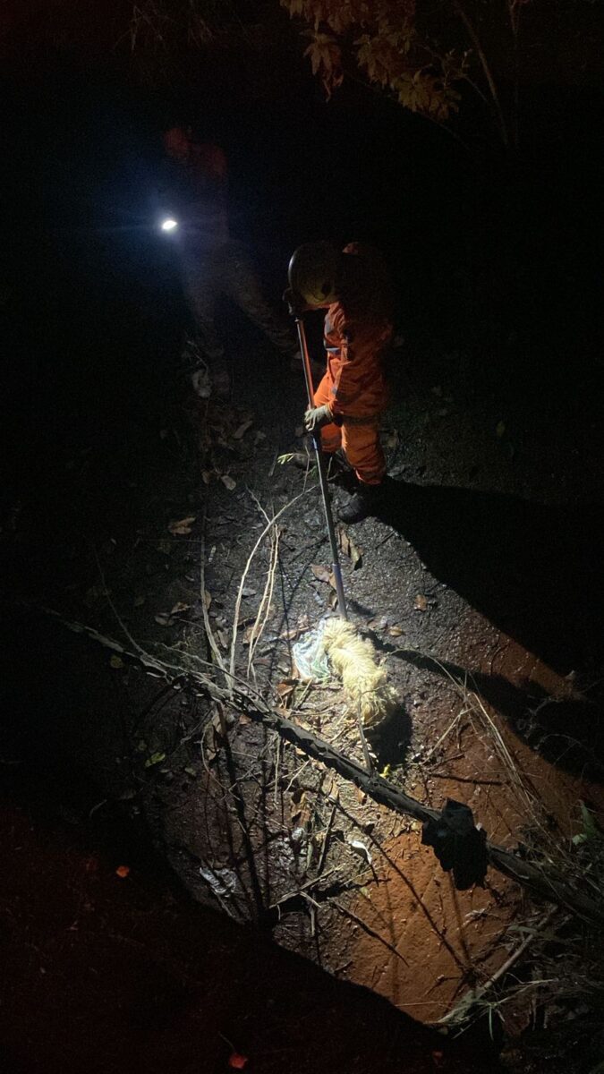 Bombeiros resgatam cachorro ferido de galeria pluvial em Itabira