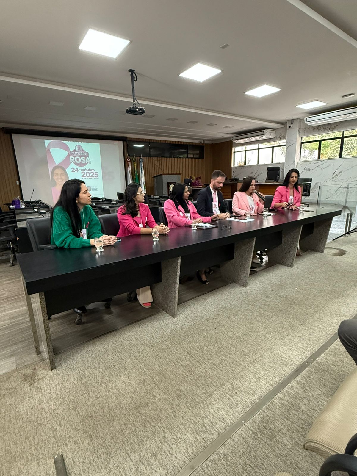 Seminário Outubro Rosa promove diálogo sobre prevenção e acolhimento na Câmara Municipal de Itabira