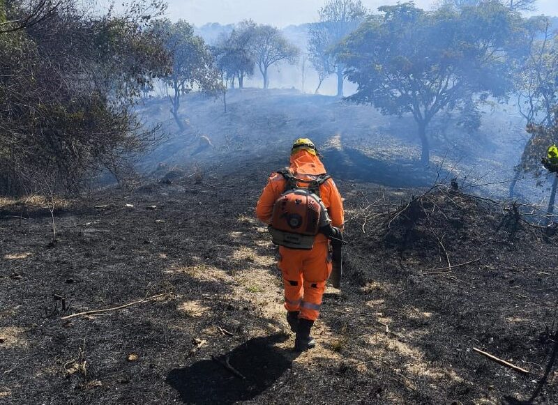 Fogos de artifício podem ter causado incêndio em área de vegetação em Minas Gerais