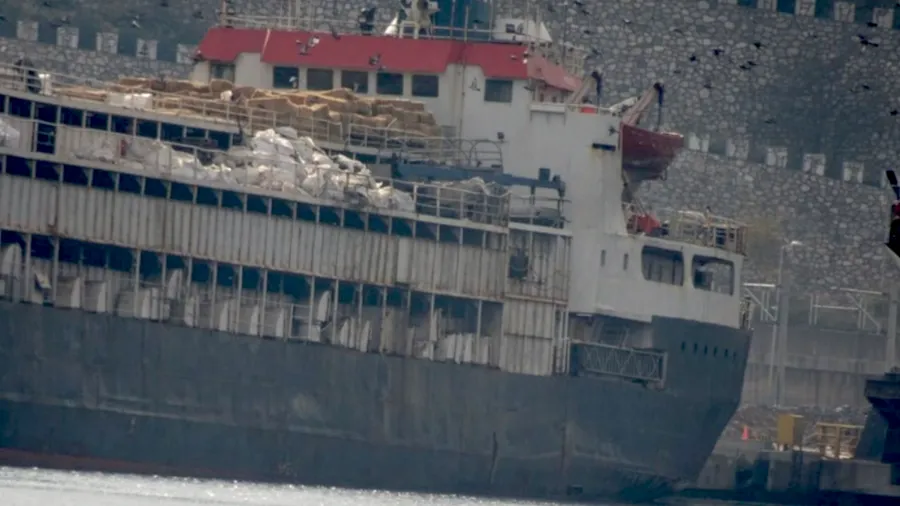 Navio com 3 mil cabeças de gado está em alto-mar há dois meses com mortes e nascimentos a bordo