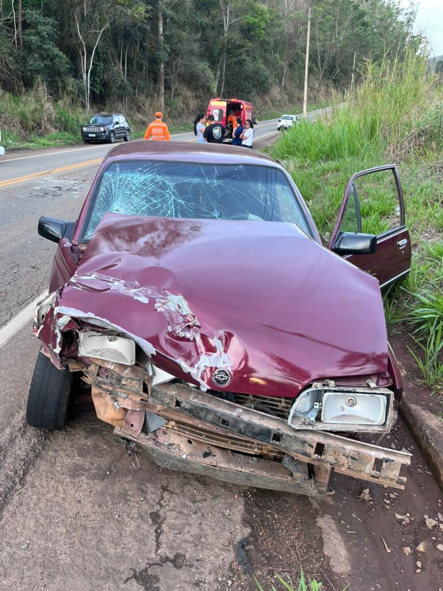 Mulher se fere em acidente na MGC-123, em João Monlevade