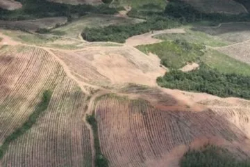 MPF pede suspensão de licenciamento de projetos de terras raras no Sul de Minas por riscos ambientais e nucleares
