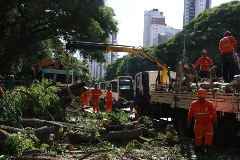 Dois dias após ciclone; SP ainda tem 800 mil moradores sem energia