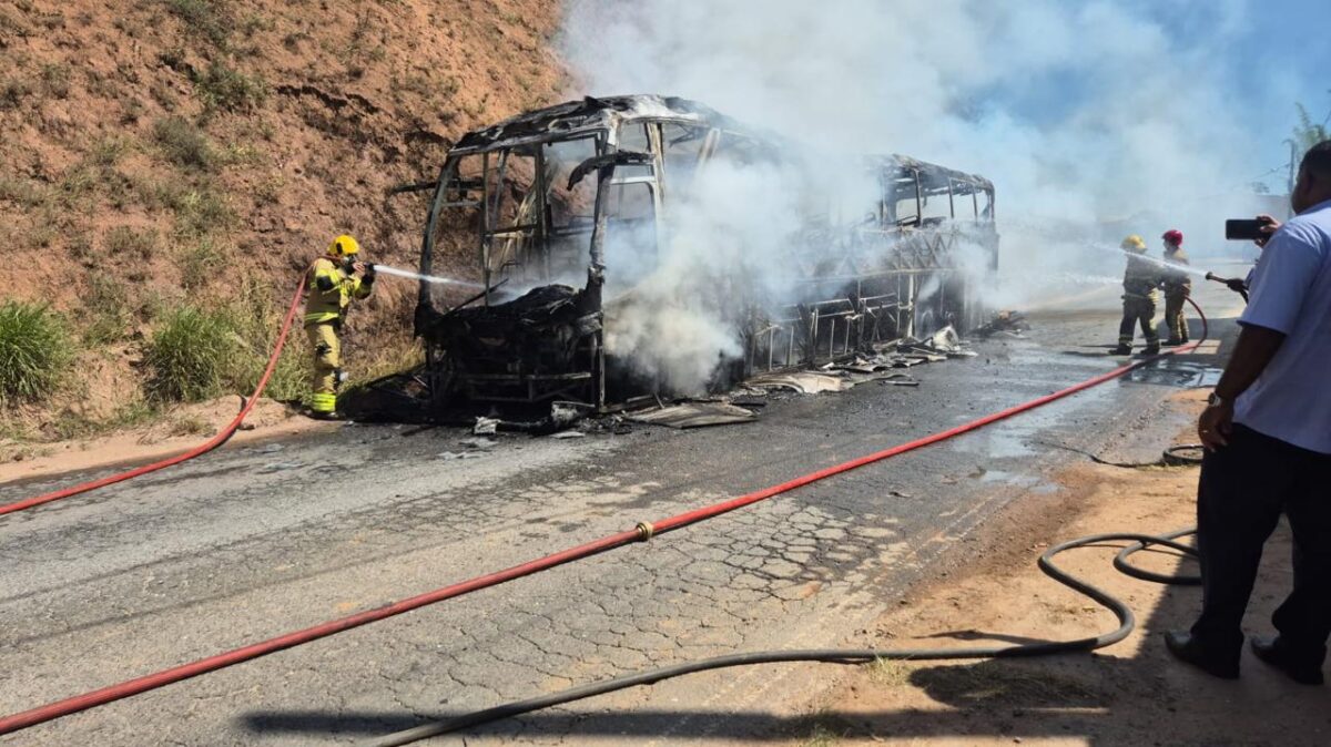 Incêndio destrói ônibus na MG-133, em Rio Pomba