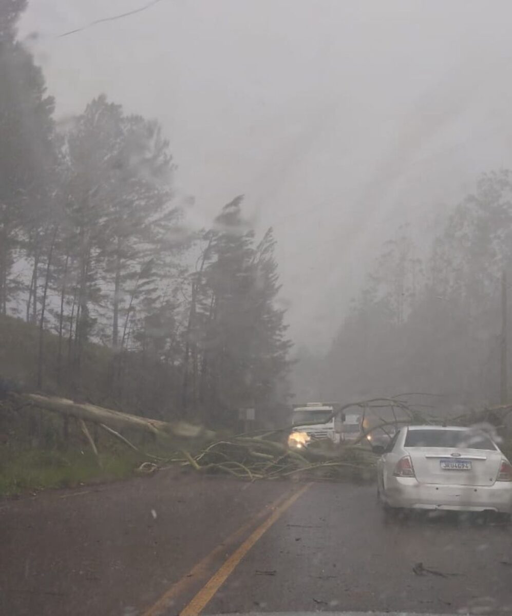 Temporal provoca quedas de galhos, falta de energia e mobiliza bombeiros em Itabira