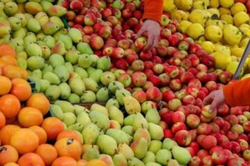 Emater orienta sobre manejo e produtividade da fruticultura durante a safra de verão; entenda