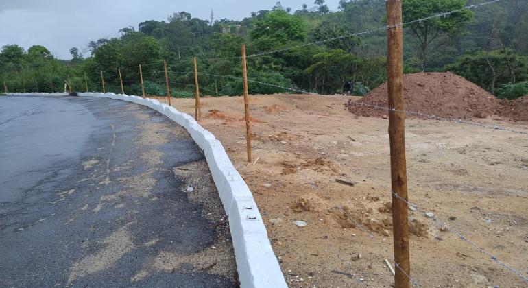 BH aposta em 2 mil mudas para recuperar área degradada no Granja Werneck