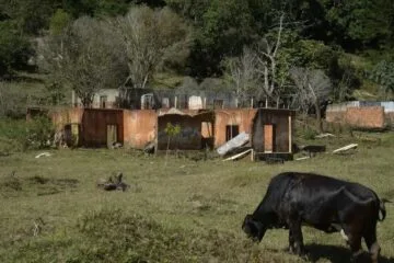 Ferramenta  garantirá transparência na gestão do Fundo Rio Doce