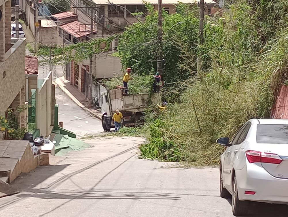 Itaurb interdita trecho da rua Alfredo Sampaio para serviço de capina e poda no bairro Pará