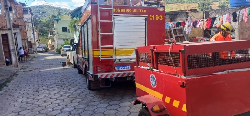 Cachorro da raça pitbull ataca criança de três anos em Manhuaçu