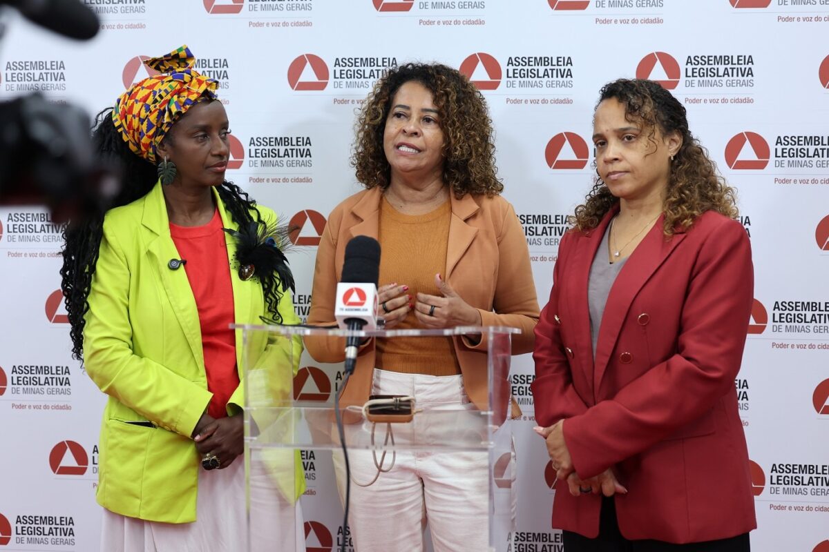 A lei é de autoria das deputadas Andréia de Jesus, Leninha e Ana Paula Siqueira - Arquivo ALMG