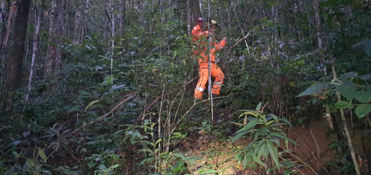 Bombeiros mobilizam força-tarefa para localizar criança de 4 anos desaparecida em área rural de Jeceaba