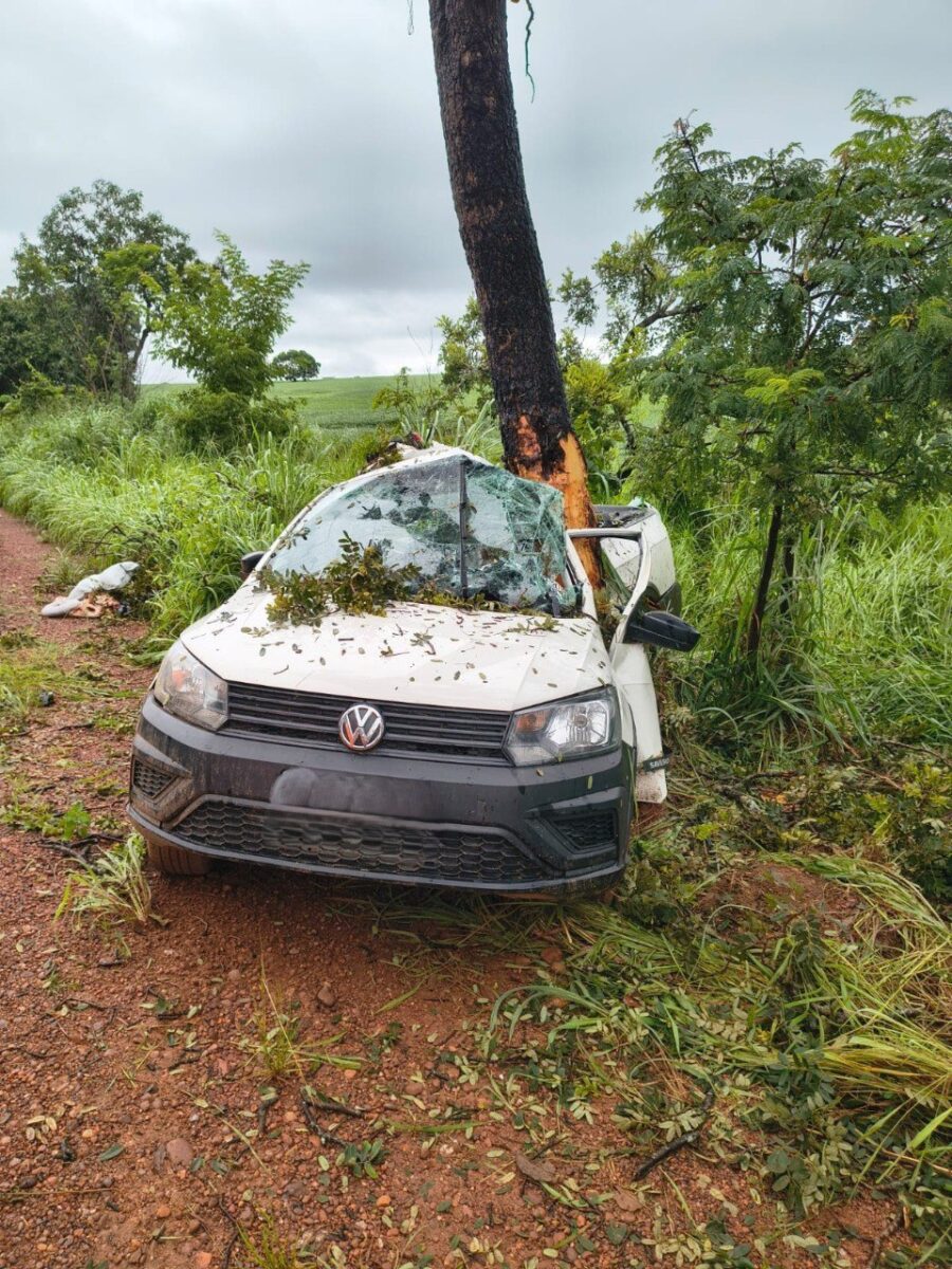 Motorista morre após carro capotar e atingir árvore na MG-413