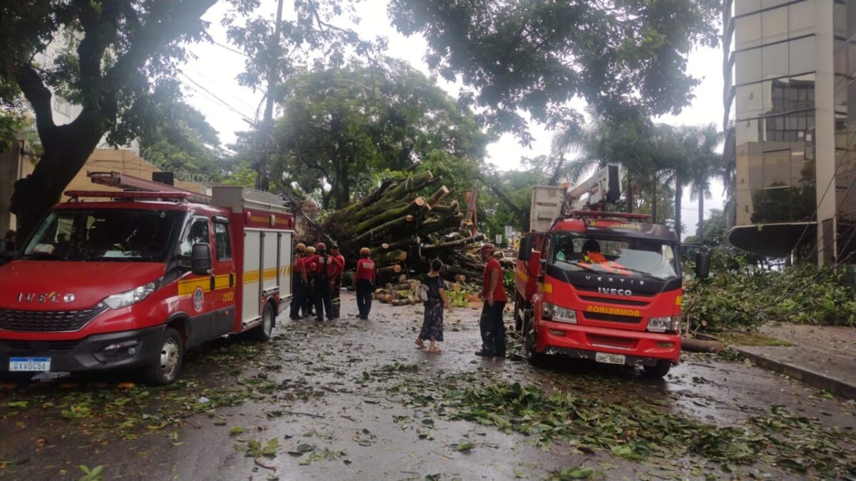 Chuvas derrubam árvores em BH e na região metropolitana e deixam imóveis atingidos, segundo balanço dos bombeiros
