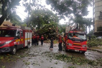 Chuvas derrubam árvores em BH e na região metropolitana e deixam imóveis atingidos, segundo balanço dos bombeiros