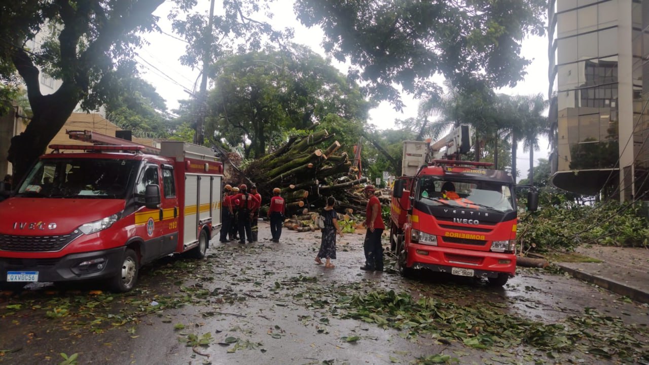 Chuvas derrubam árvores em BH e na região metropolitana e deixam imóveis atingidos, segundo balanço dos bombeiros