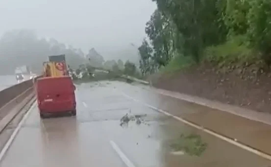 Árvore cai na BR-381 após chuvas e interdita parcialmente pista entre Caeté e Nova União
