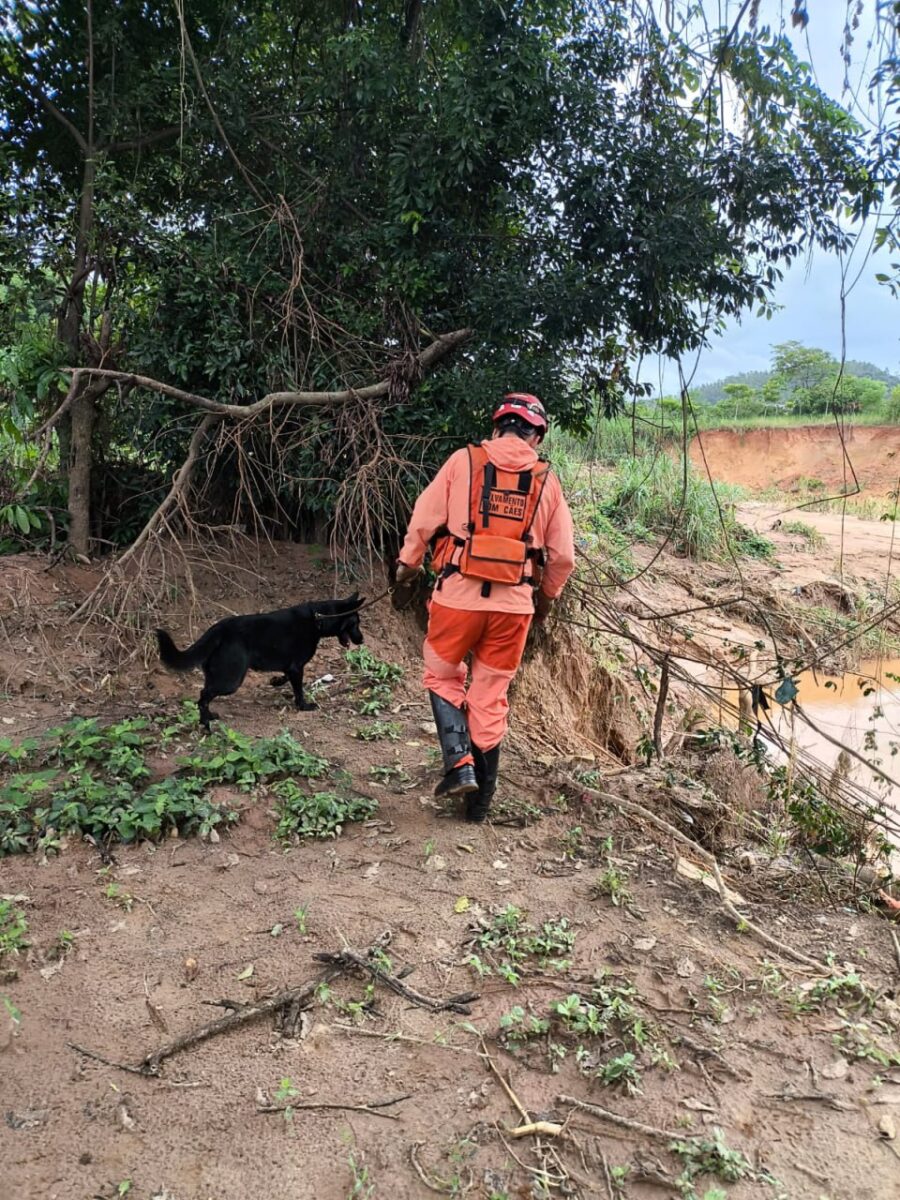 Buscas por vítima que desapareceu após chuva em Ubá continuam