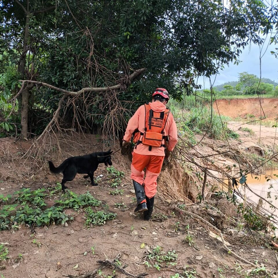 Buscas por vítima que desapareceu após chuva em Ubá continuam