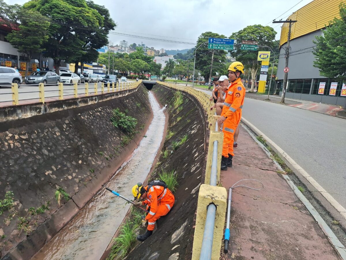 Bombeiros tentam resgatar cão em canal de Itabira