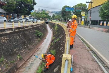 Bombeiros tentam resgatar cão em canal de Itabira