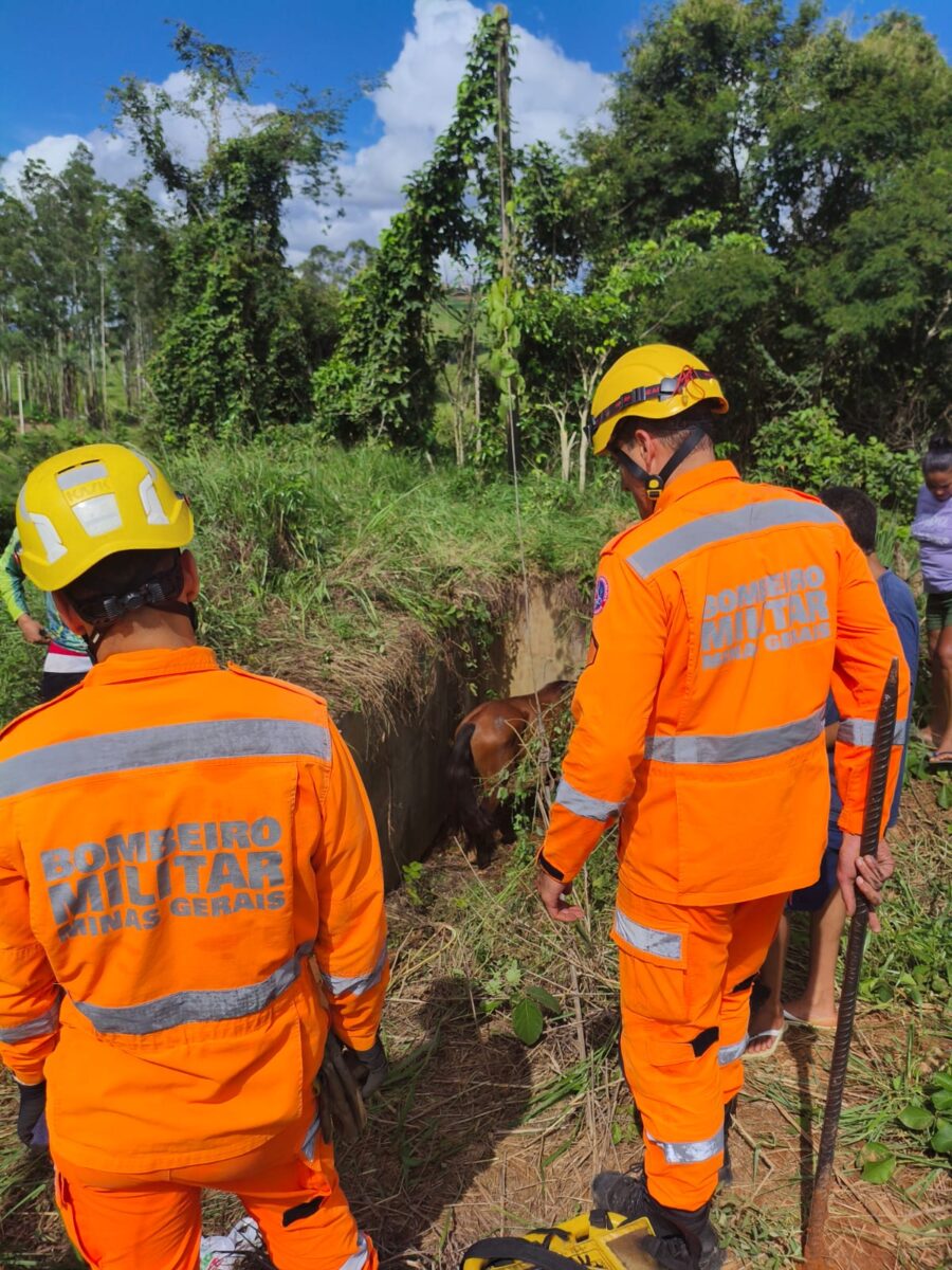 Bombeiros resgatam cavalo que caiu em bacia de contenção de água em Itabira