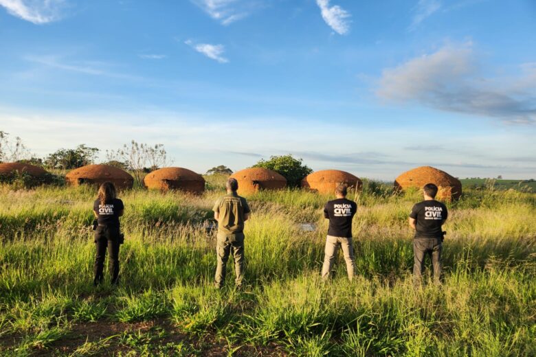 Esquema de carvão ilegal em MG revela fraude milionária e falhas no controle ambiental